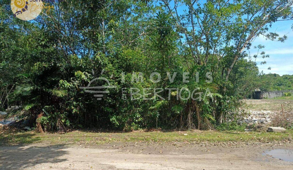 Terreno-venda-Bertioga-Jardim-Sao-Lourenco-TE0009S-imobiliaria-bertioga-2025-06-24_19-51-33_foto_sn-1