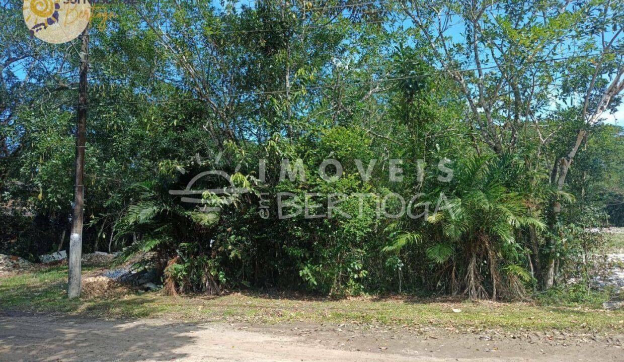 Terreno-venda-Bertioga-Jardim-Sao-Lourenco-TE0009S-imobiliaria-bertioga-2025-10-17_22-19-07_foto_sn-3