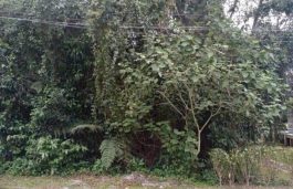 Terrenos à Venda em Bertioga